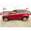 Image 23 : PARKSVILLE - 2013 FORD ESCAPE RED 245404 KMS - A15501-2
