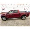 Image 23 : PARKSVILLE - 2006 FORD F-150 RED 255535 KMS - B46323-2