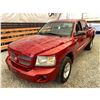 Image 3 : PARKSVILLE - 2008 DODGE DAKOTA RED 289606 KMS - 524739-2