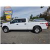 Image 15 : DUNCAN - 2018 FORD F-150 WHITE  207544 KMS - E62577-3