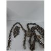 Image 2 : Assortment of Chains (as is)