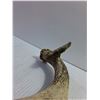 Image 4 : Shed Deer Antler