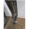 Image 4 : **Ford F450 Scope and Ford Ful FR Scope