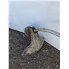 Image 7 : **Echo Orange Weed Whacker Gas Powered Untested As-Is No Shipping