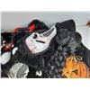 Image 4 : Halloween Costumes, Masks & Supplies