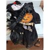 Image 5 : Halloween Costumes, Masks & Supplies