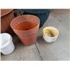 Image 3 : **Assorted Plastic Planters - PICKUP ONLY