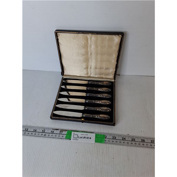 Sterling Silver (handles) Dessert Knife Set & Case