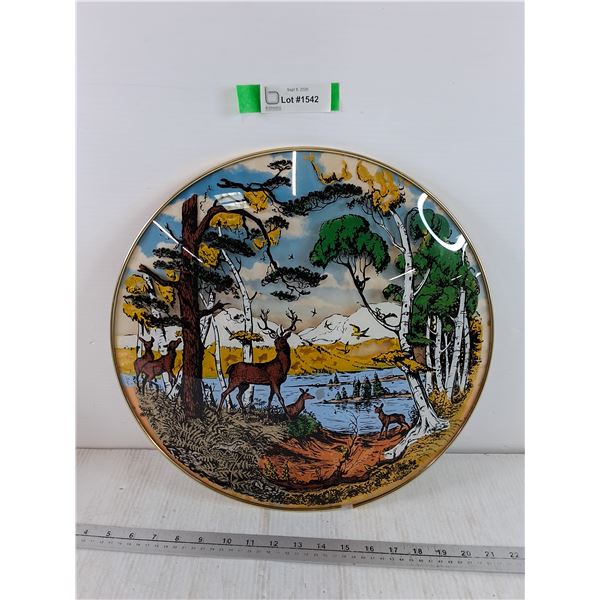 Domed Plastic Wall Art Decoration