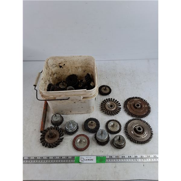 Assorted Wire Brushes & Plastic Container