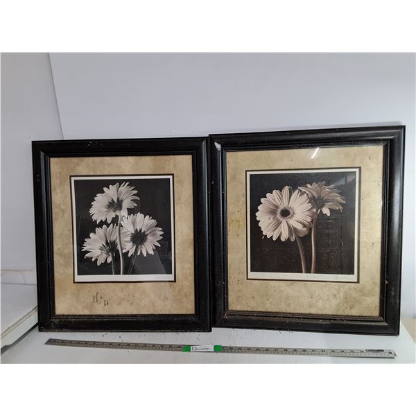 (2) Framed Floral Prints 23.5" x 21.5"- As Is, Can't Ship