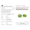 Image 3 : *^25.8 ct Certified Himalayan Peridot gemstone pair ($12,900 Appraisal)