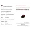 Image 3 : *^9.48 ct Certified Madagascar Ruby gemstone ($11,566 Appraisal)