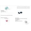 Image 3 : *^49.33 ct Certified Royal Blue Topaz gemstone pair ($12,550 Appraisal)