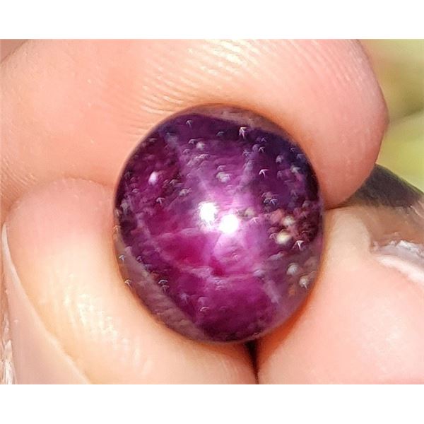 *^13 ct Certified Burmese Star Ruby gemstone Untreated ($12,397 Appraisal)