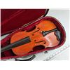 Image 3 : #Vintage Violin w/Case - PICKUP PREFERRED