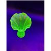 Image 5 : Uranium Glass Ruffled Vase 9.5" Tall