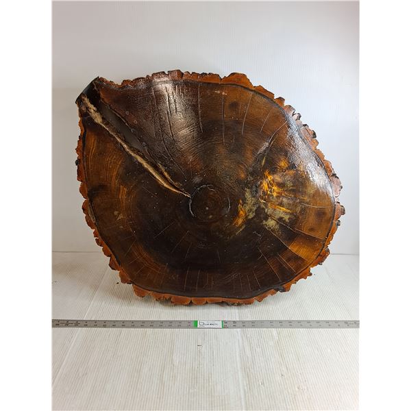 Polished Live-Edge Wood "Cookie" Slice-Wall Decor,Table,Home Accent-31" Diameter