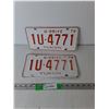 Image 1 : (2) Yukon 1979 License Plates