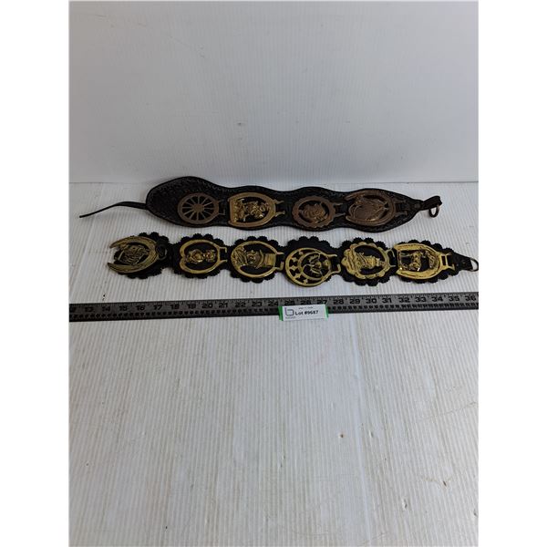 (2) Leather Straps w/ Brass Medallions