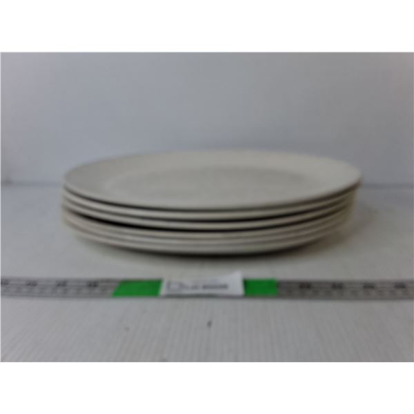 (6) Ceramic Steelite Serving Plates 13.25" x 10.5"