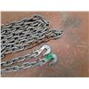 Image 1 : 15' Chain, Pickup Only