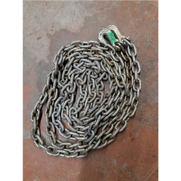 20' Chain