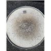 Image 5 : Remo Weather King Snare Drums with Metal and Red Shells
