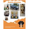 Image 1 : Online Auction