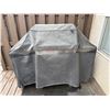 Image 5 : Natural Gas Barbecue