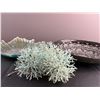 Image 4 : Decorative Bowl Lot