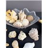 Image 3 : Seashell Lot