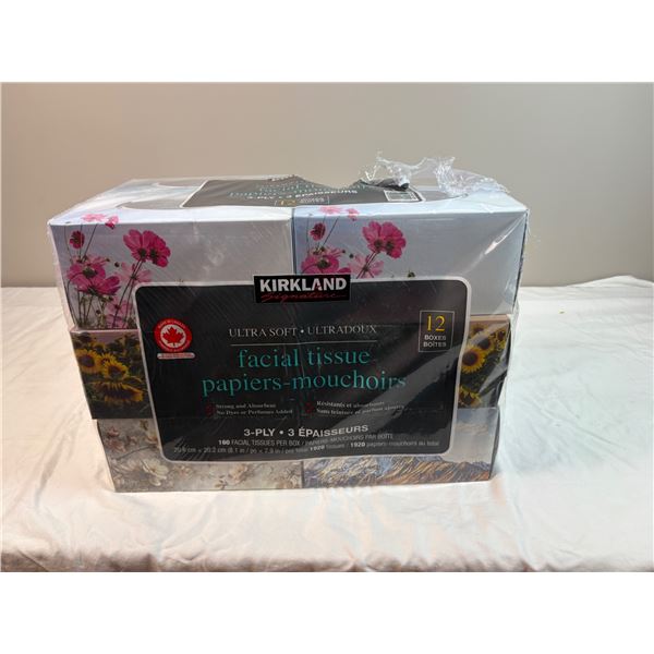 Kirkland Facial Tissues Package