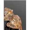 Image 4 : 2pc Swarovski SCS 2010 Amur Leopard Cubs