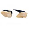 Image 4 : Carved Horns With Eagle Motif, Pair, Wood Bases