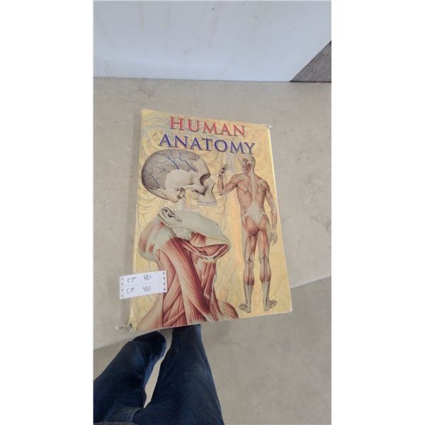 Human Anatomy Book, with Illustrations of Skull, Muscles, and Organs