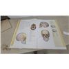 Image 3 : Human Anatomy Book, with Illustrations of Skull, Muscles, and Organs