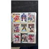 Image 2 : Hockey Card Collection