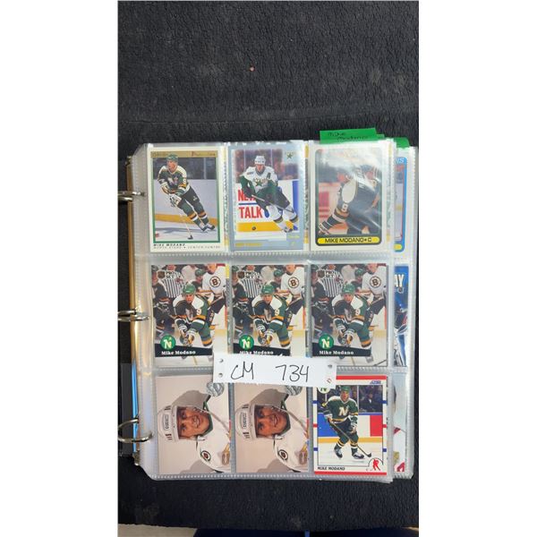 Hockey Stars and Minor Stars Card Collection