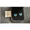 Image 1 : Platinum Plated 1.0 Carat Each Heart Cut Blue Simulated Diamond Stud Earrings