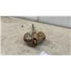 Image 3 : Roloff Manufacturing Corporation N20 Folding Boat Anchor, Kaukauna, Wisconsin