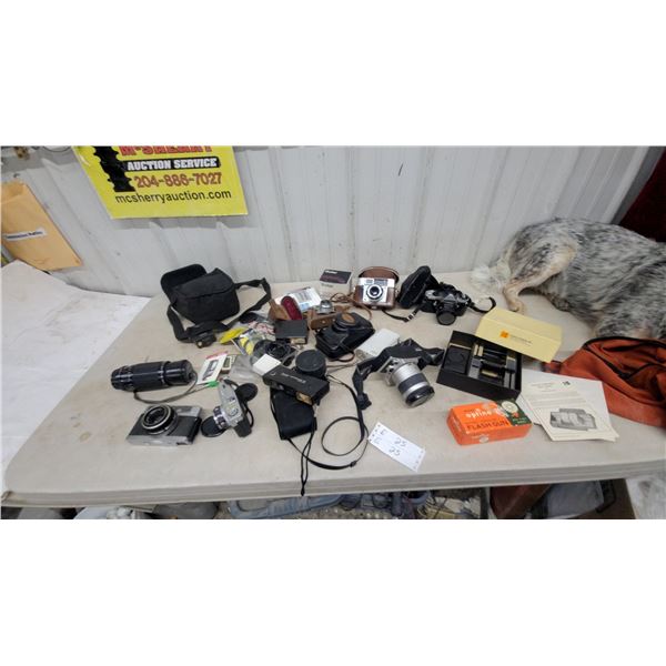 Vintage Camera and Photography Equipment Lot: Canon, Minolta, Kodak, Vivitar