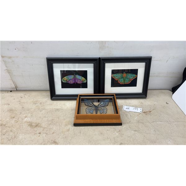 Framed Butterfly Jigsaw Puzzles and Wooden Base Blue Butterfly Sculpture Display, Largest 10 × 12”