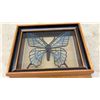 Image 7 : Framed Butterfly Jigsaw Puzzles and Wooden Base Blue Butterfly Sculpture Display, Largest 10 × 12”