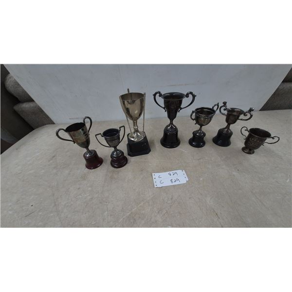 Collection of 7 Silver-Tone Trophies, Some Engraved, on Wood and Black Bases