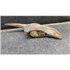 Image 5 : Marshall Wells Company Handmade Fireman's Pick Axe, 1916 Era