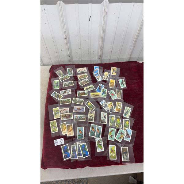 57 Red Rose Tea Collector Cards From 60’s and 70’s