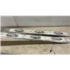 Image 8 : Peterbilt 379 LED Light Bars and Trim, Stainless Panels with 4” Round and Oval Markers