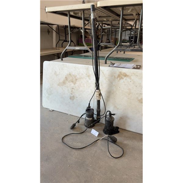 Red Lion Submersible Pump with PVC Discharge Pipe and Mastercraft Pump 1/3 HP