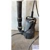 Image 2 : Red Lion Submersible Pump with PVC Discharge Pipe and Mastercraft Pump 1/3 HP